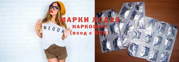 мет Няндома