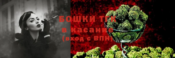 мет Няндома