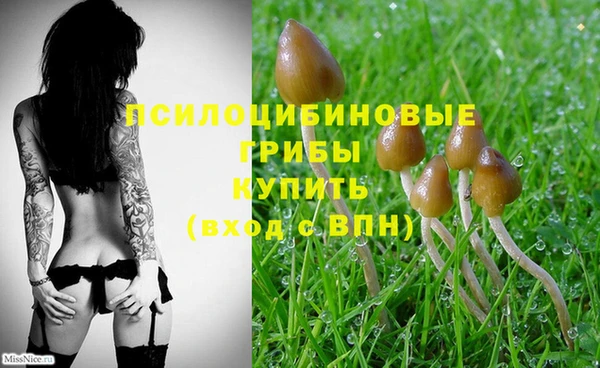 гашиш Новозыбков