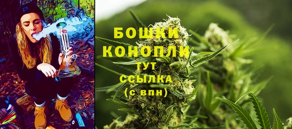 мдпв Новодвинск
