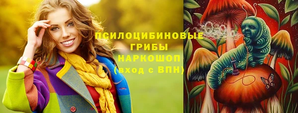 мдпв Новодвинск
