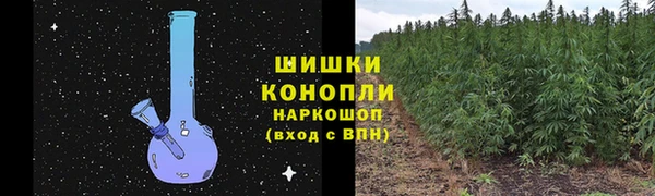 первитин Нягань